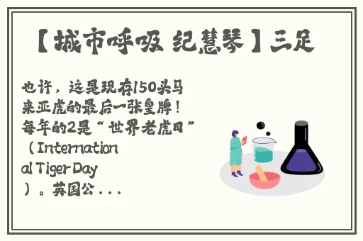 1234成人站